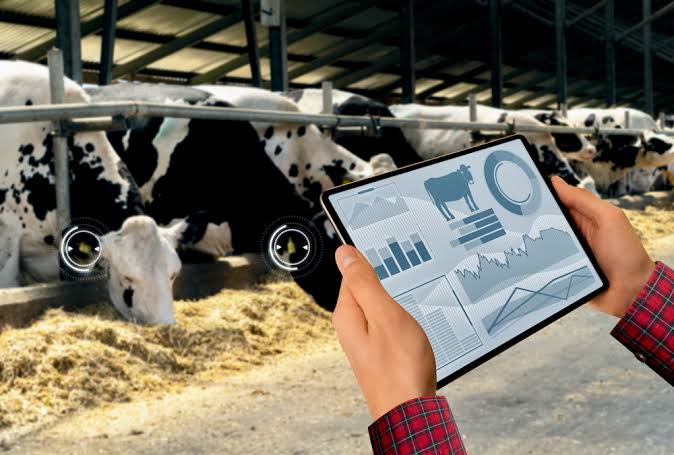 Integrated Livestock: Connecting Feed, Dairy, and Technology