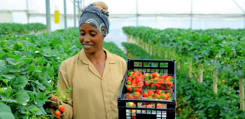 Farming lifestyle