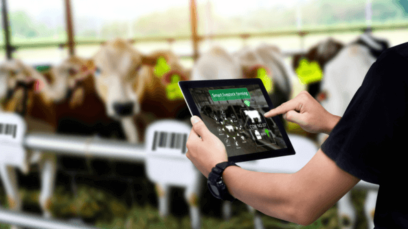 Livestock Technology